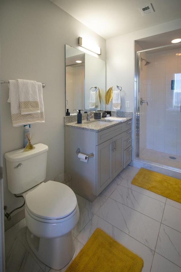 1Bd Nestled Uptown Apartment Charlotte Exterior photo